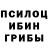 Галлюциногенные грибы Psilocybe Yahia Amir
