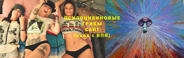 кокс Козельск