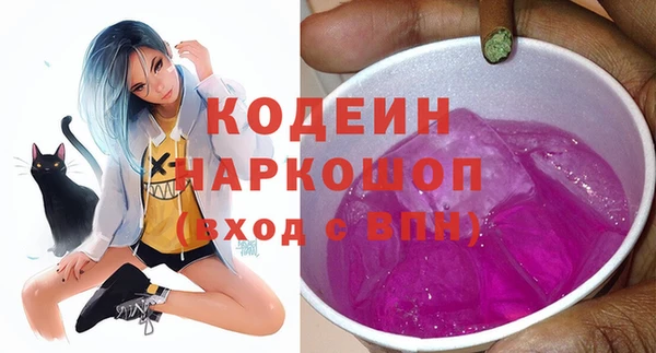 прущий лед Кодинск