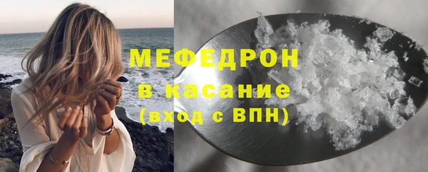 стаф Корсаков