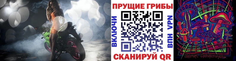 Галлюциногенные грибы Magic Shrooms  Куровское 